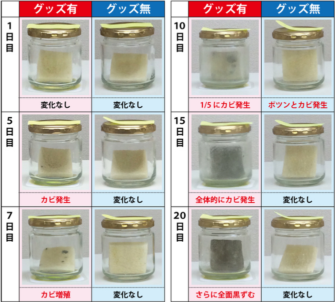 パンの経過実験 パンの経過実験